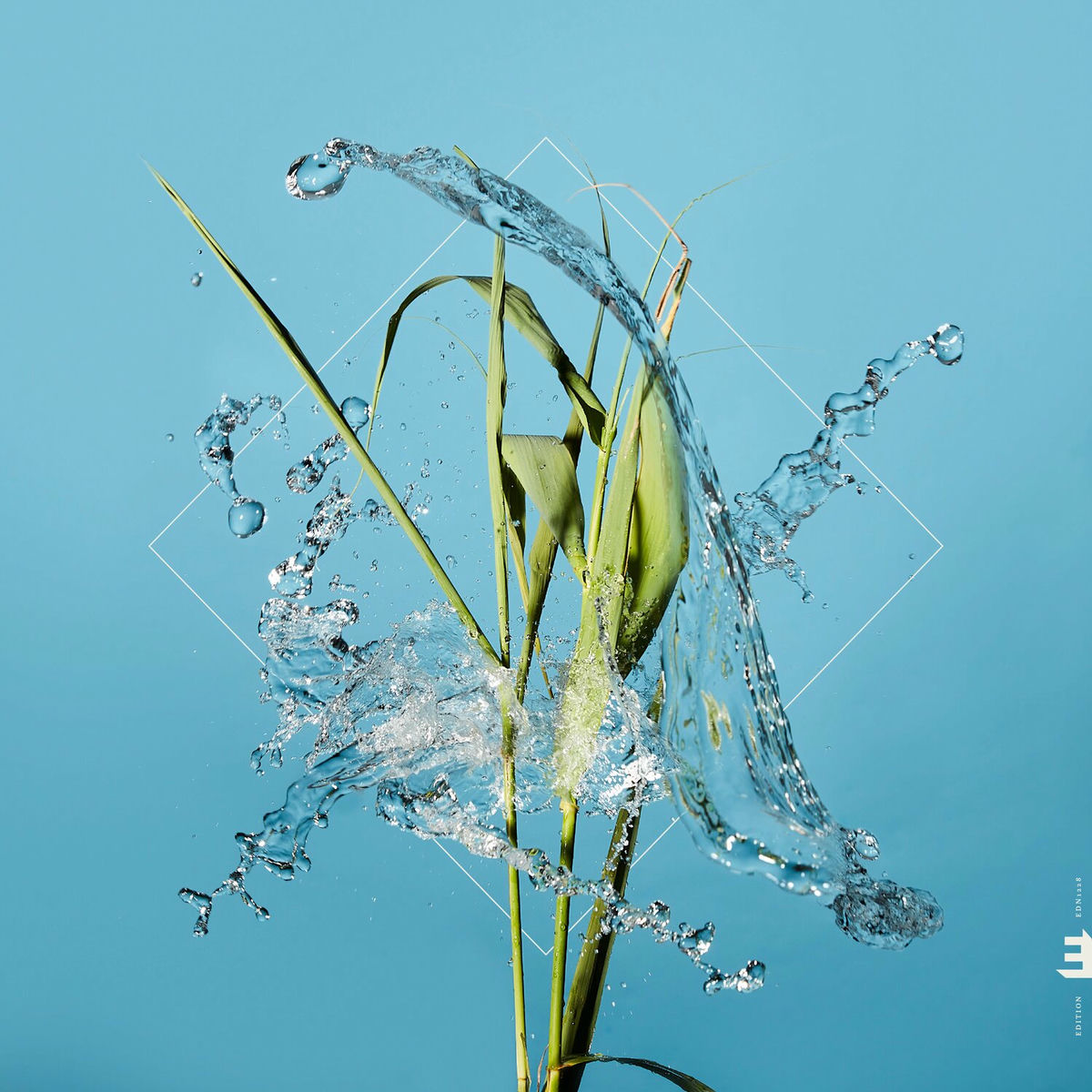 Album cover of The Crossing