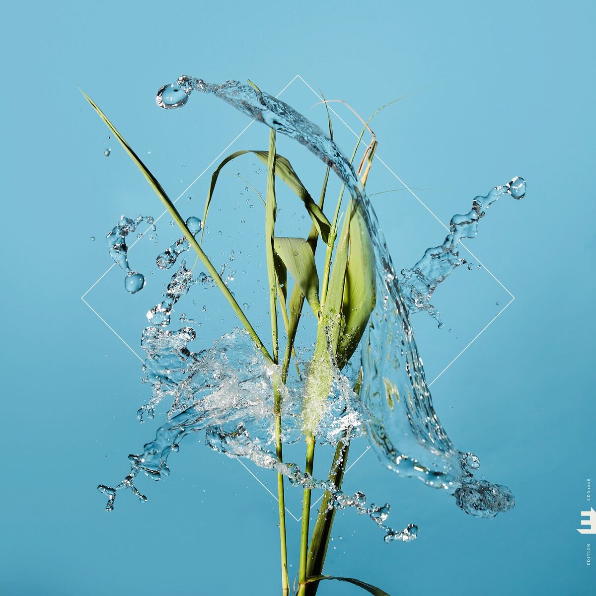 Album cover of Stream