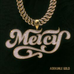 Cover of Mercy