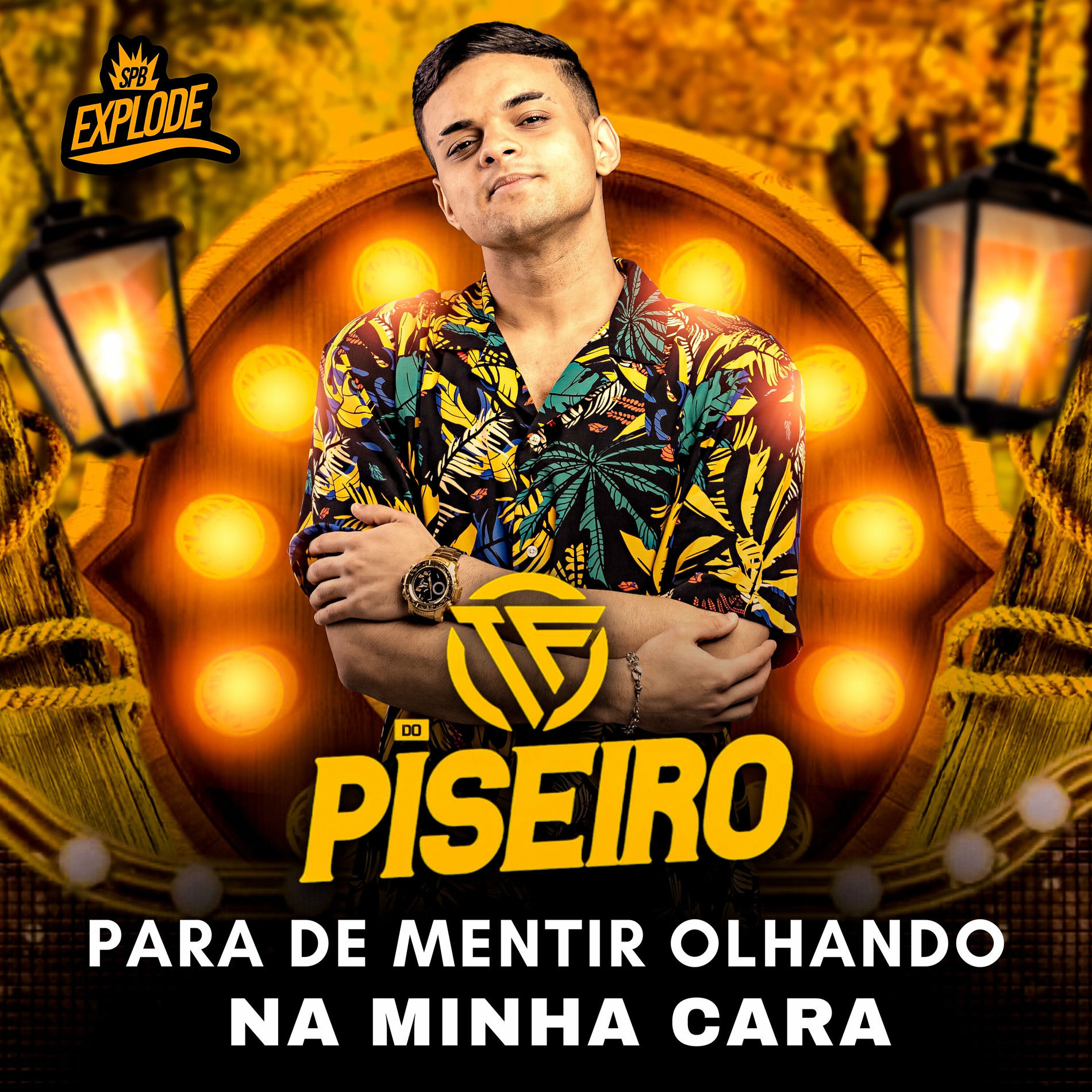 Album cover of Para de Mentir Olhando na Minha Cara
