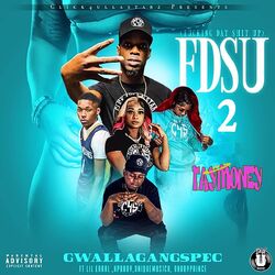 Cover of Fdsu 2