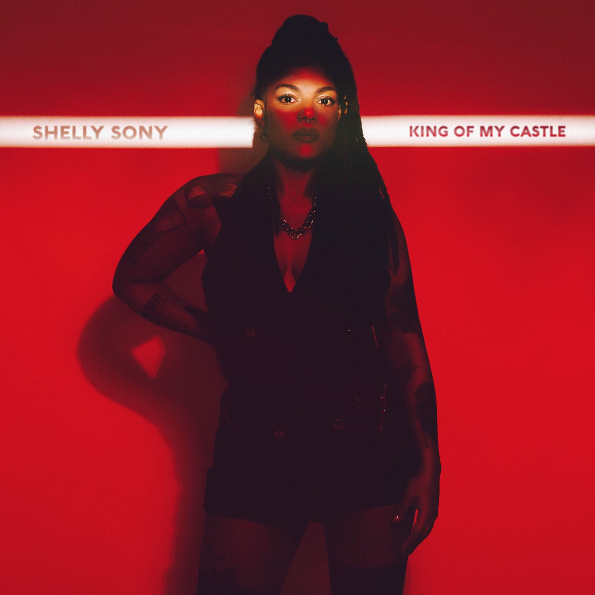 Album cover of King of My Castle