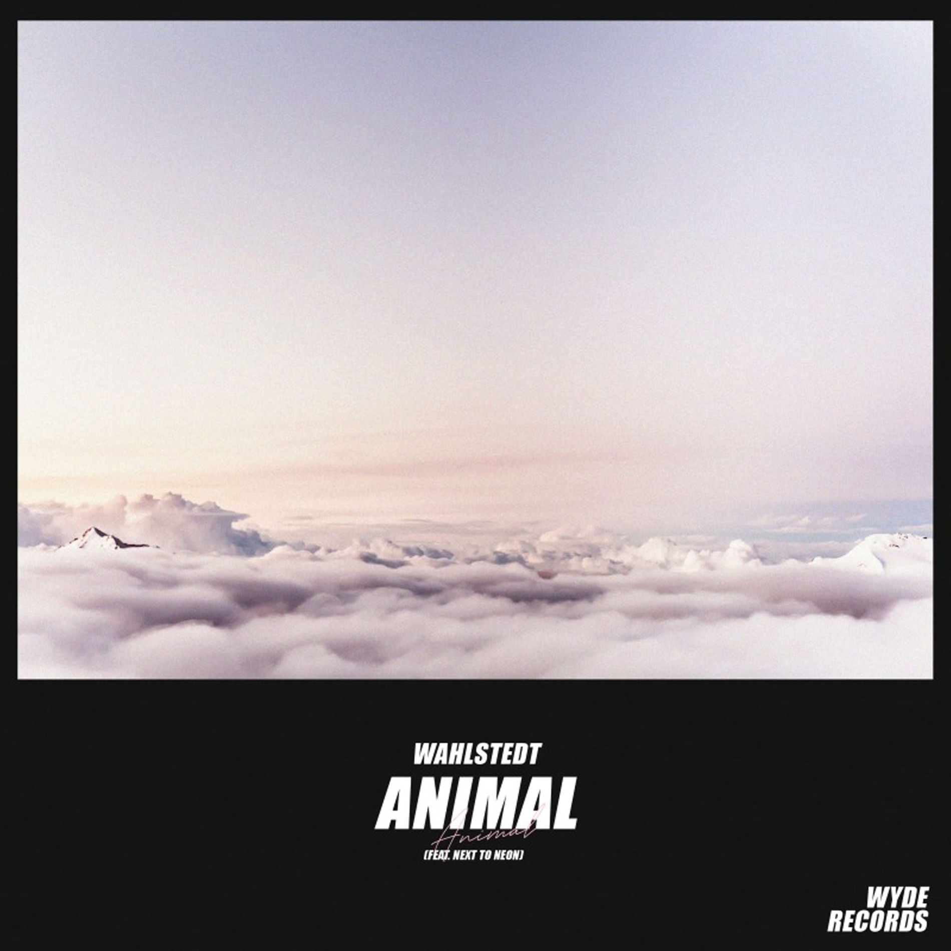 Album cover of Animal