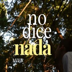 Cover of no dice nada