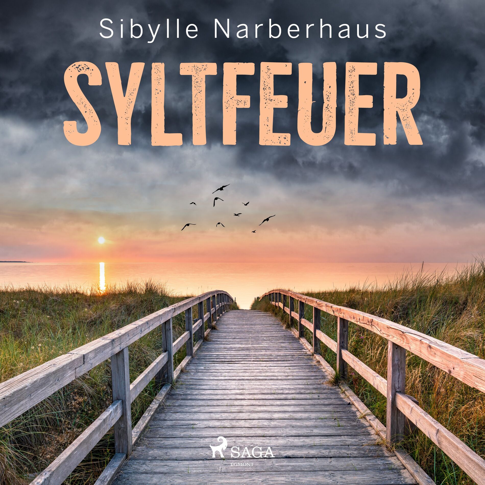 Album cover of Kapitel 1 & Kapitel 2.1 - Syltfeuer