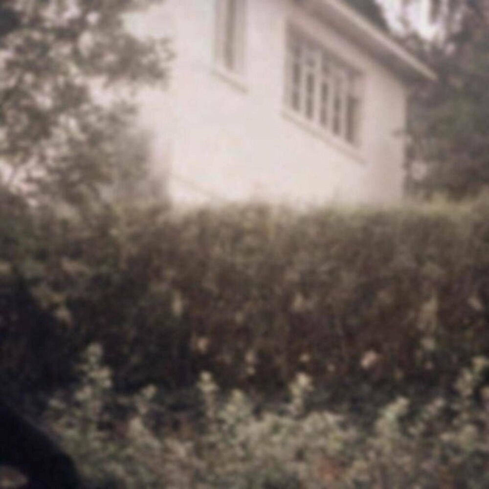 Picture of Backyard Cemetery II