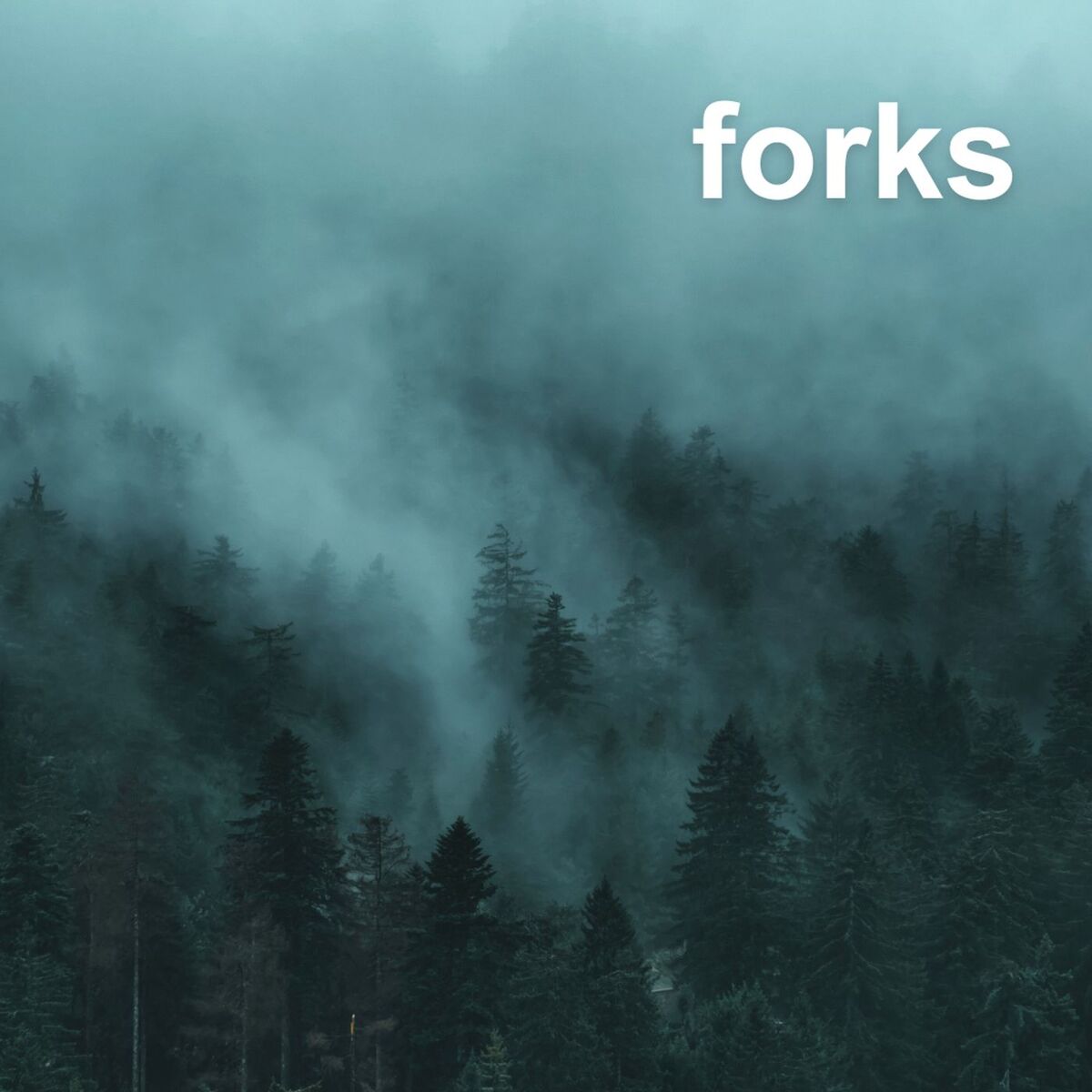 Album cover of forks