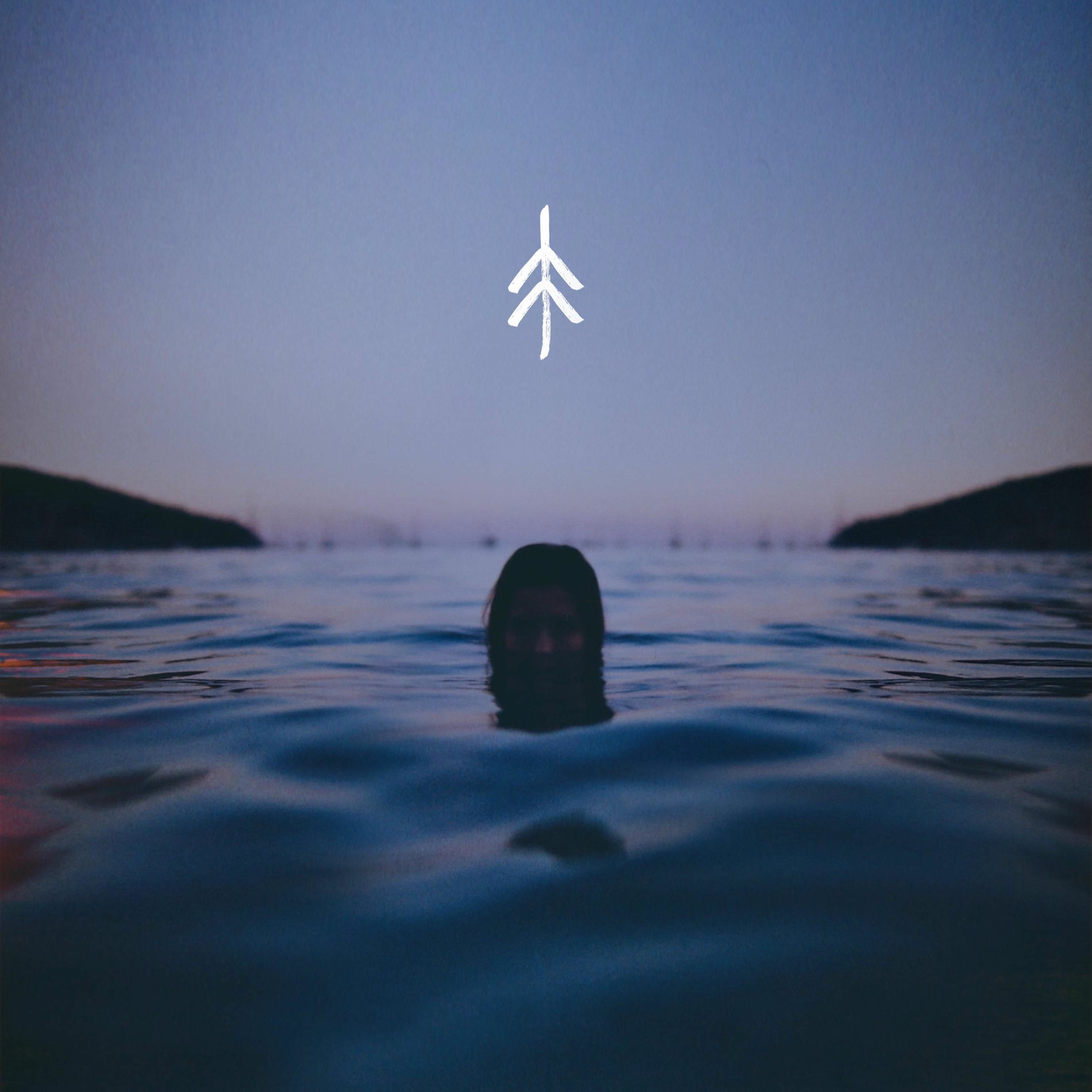 Album cover of Flown