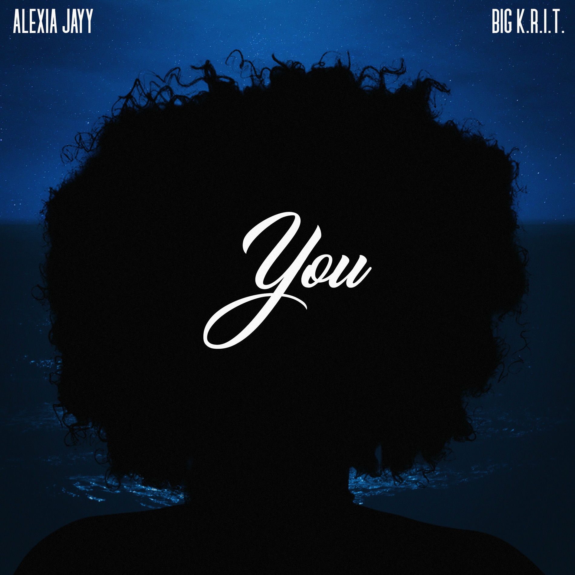 Album cover of You (feat. Big K.R.I.T.)