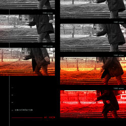 Cover of Corrimiento al Rojo