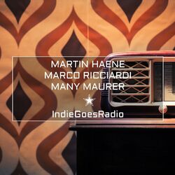 Cover of Indie Goes Radio