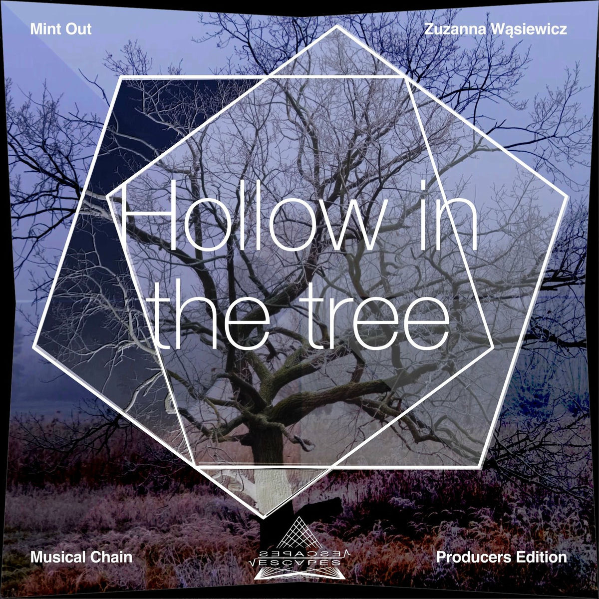 Album cover of Hollow in the Tree