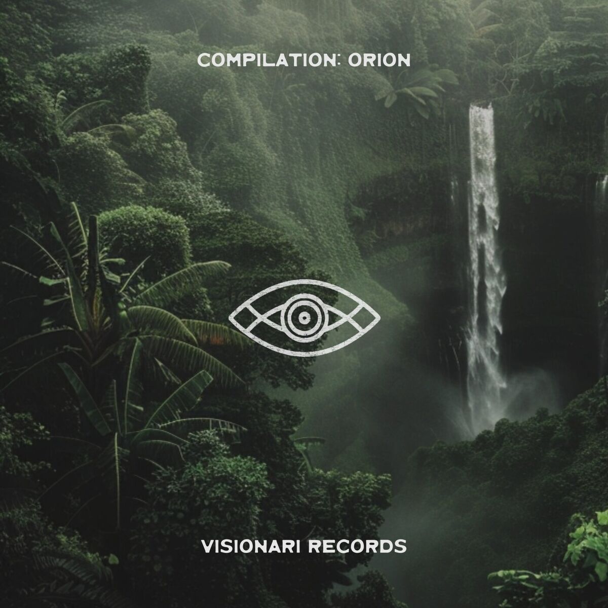 Album cover of Orion