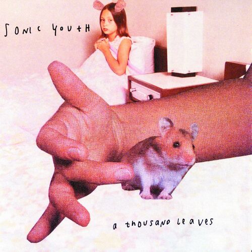 Sonic Youth - A Thousand Leaves | Deezer