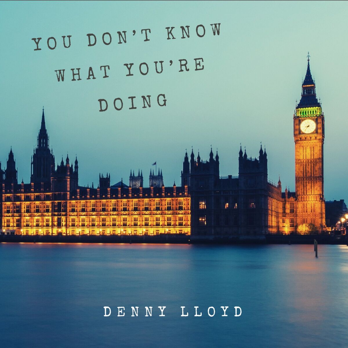 Album cover of You Don't Know What You're Doing
