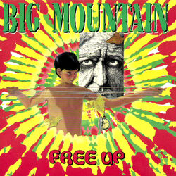 Cover of Free Up