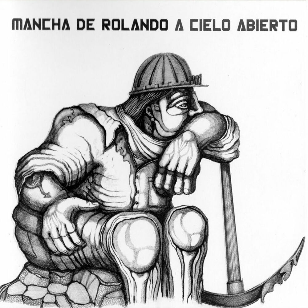 Picture of A Cielo Abierto - El año del tigre