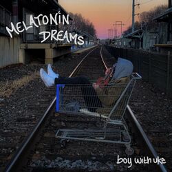 Cover of Melatonin Dreams