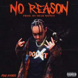 Cover of No Reason