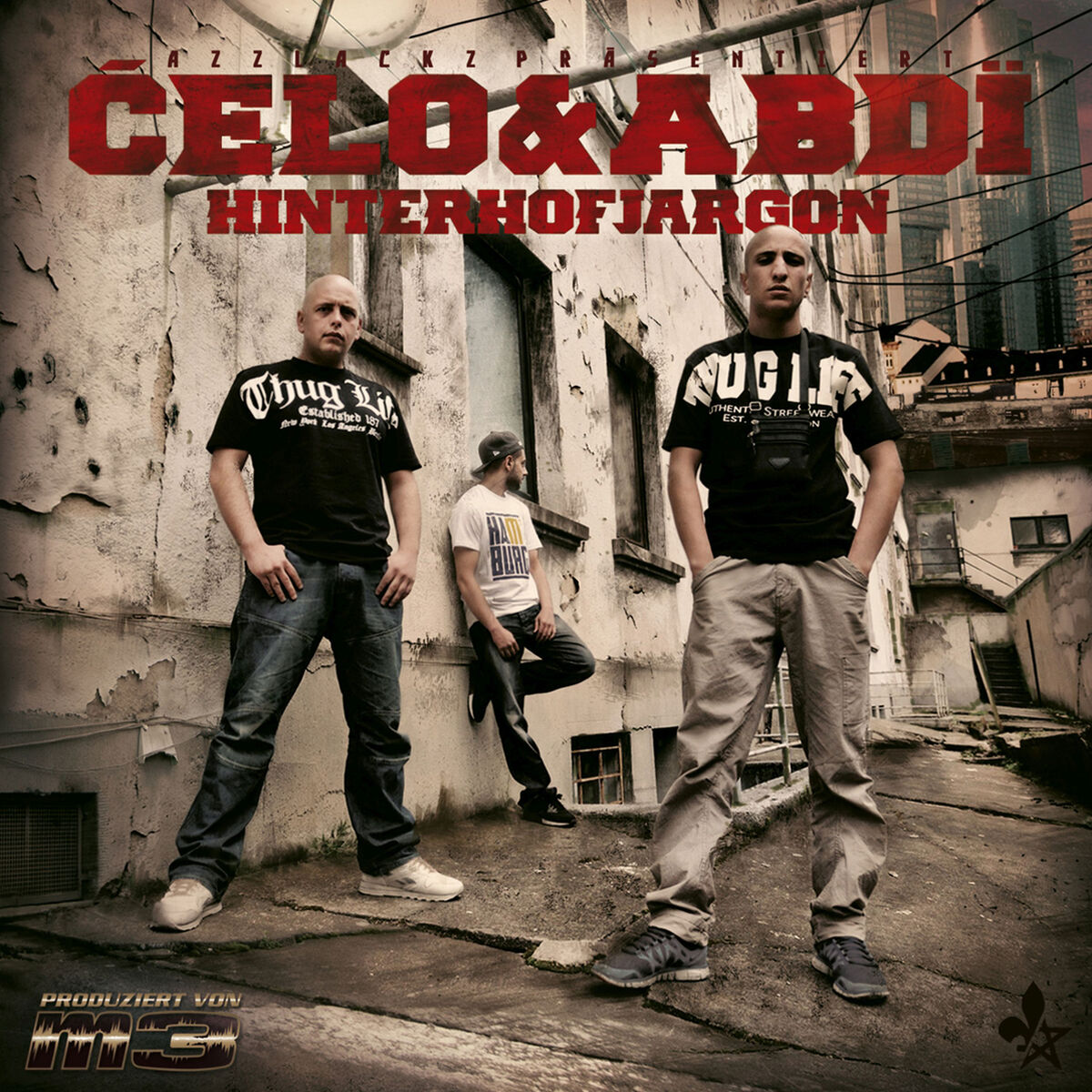 Album cover of Hinterhofjargon
