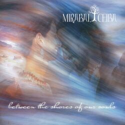 Cover of Between the Shores of Our Souls