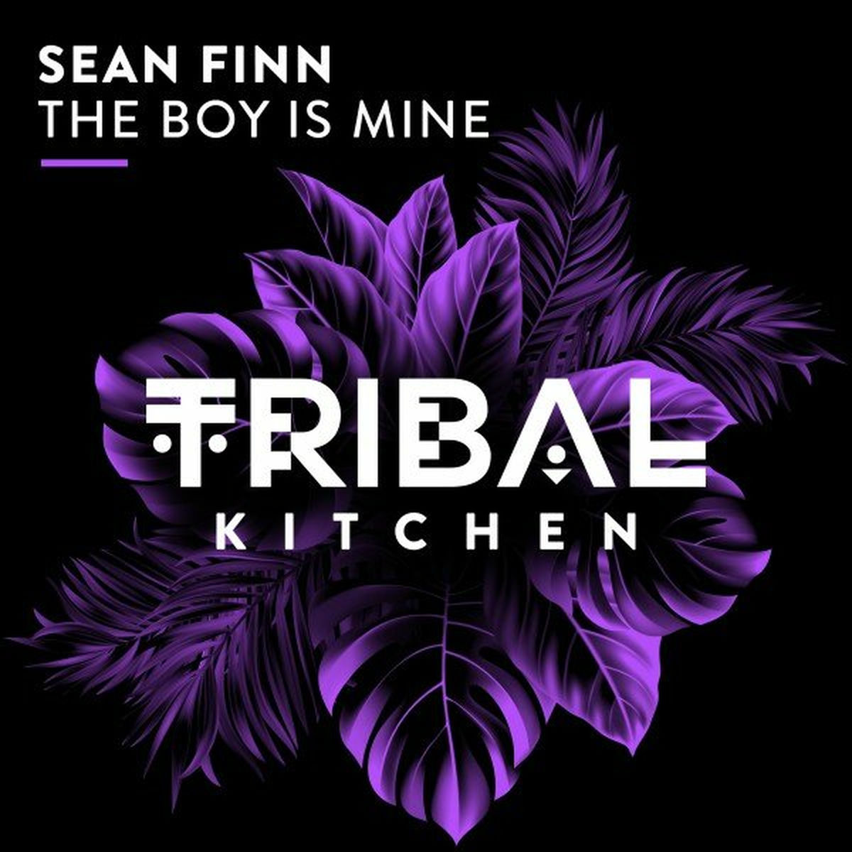 Album cover of The Boy Is Mine