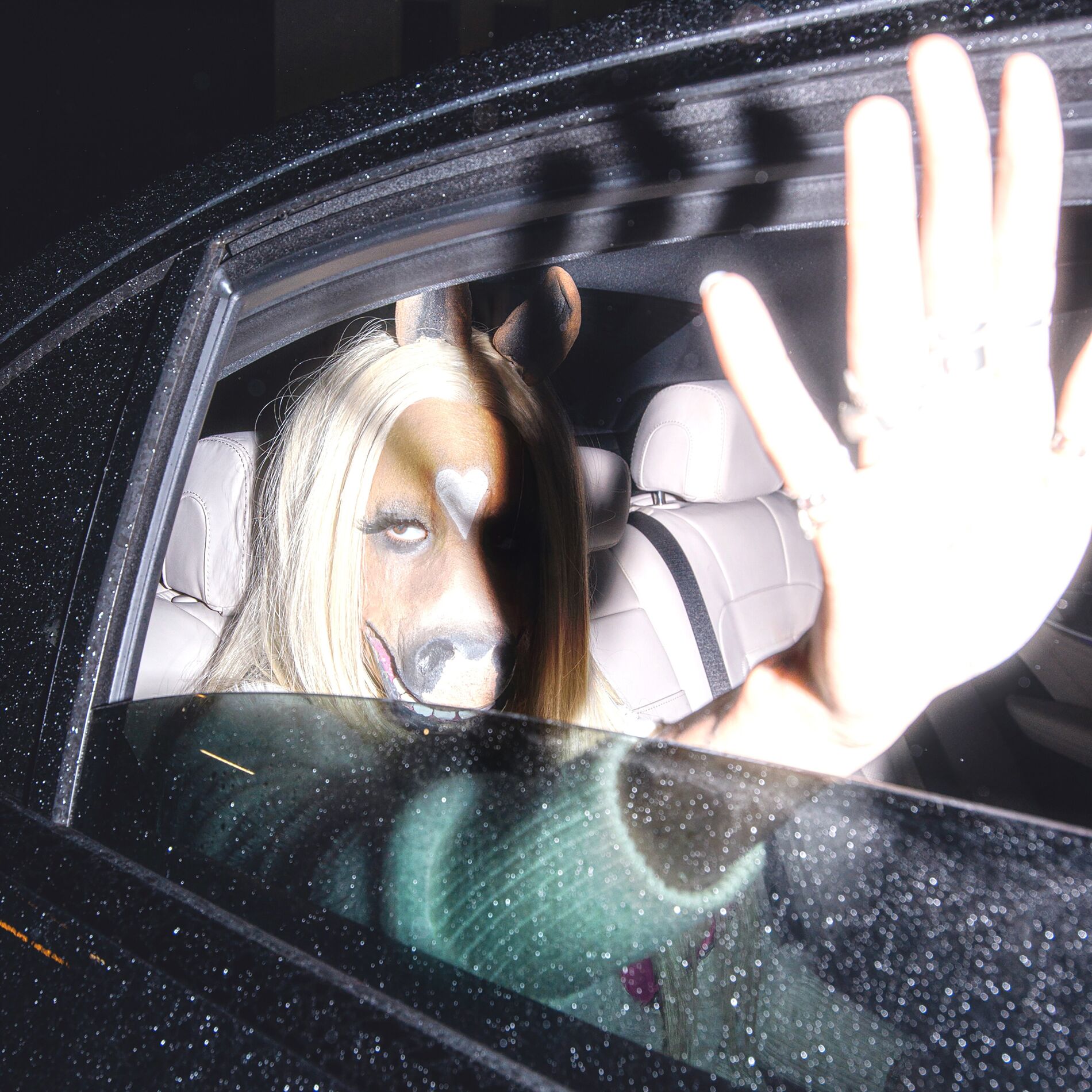 Album cover of Farm Fatale