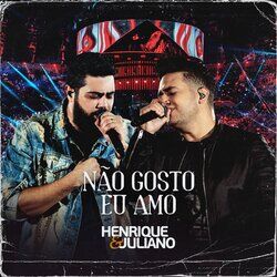Cover of Não Gosto Eu Amo (Ao Vivo)
