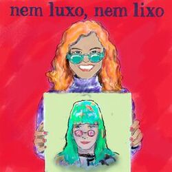 Cover of Nem luxo, nem lixo