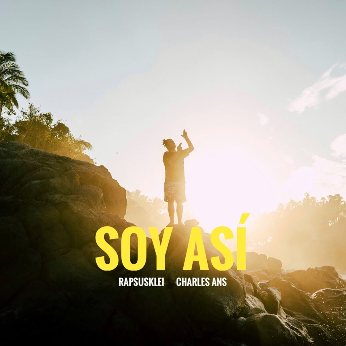 Album cover of Soy Así