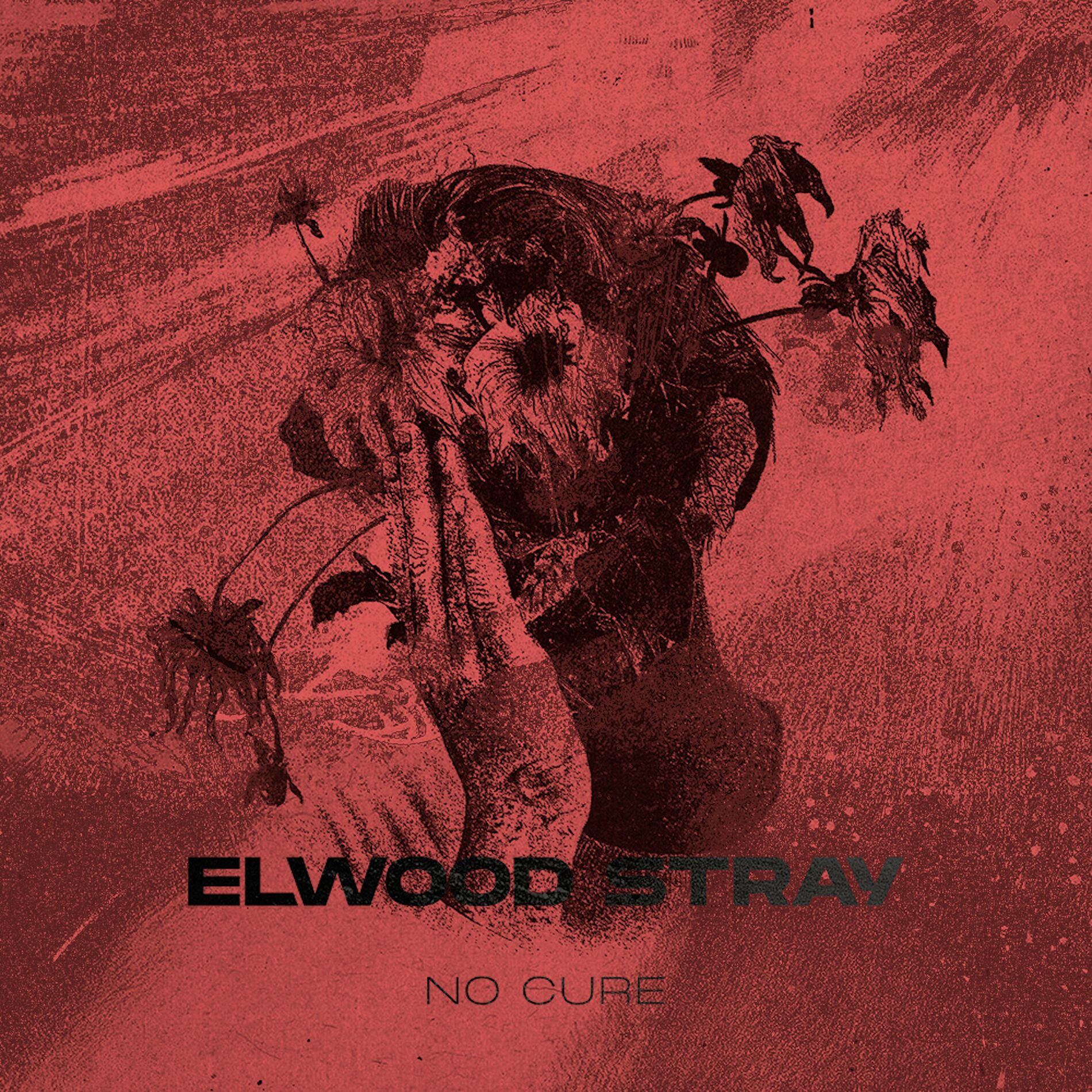 Album cover of No Cure