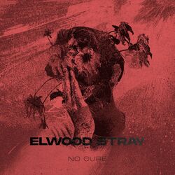 Cover of No Cure