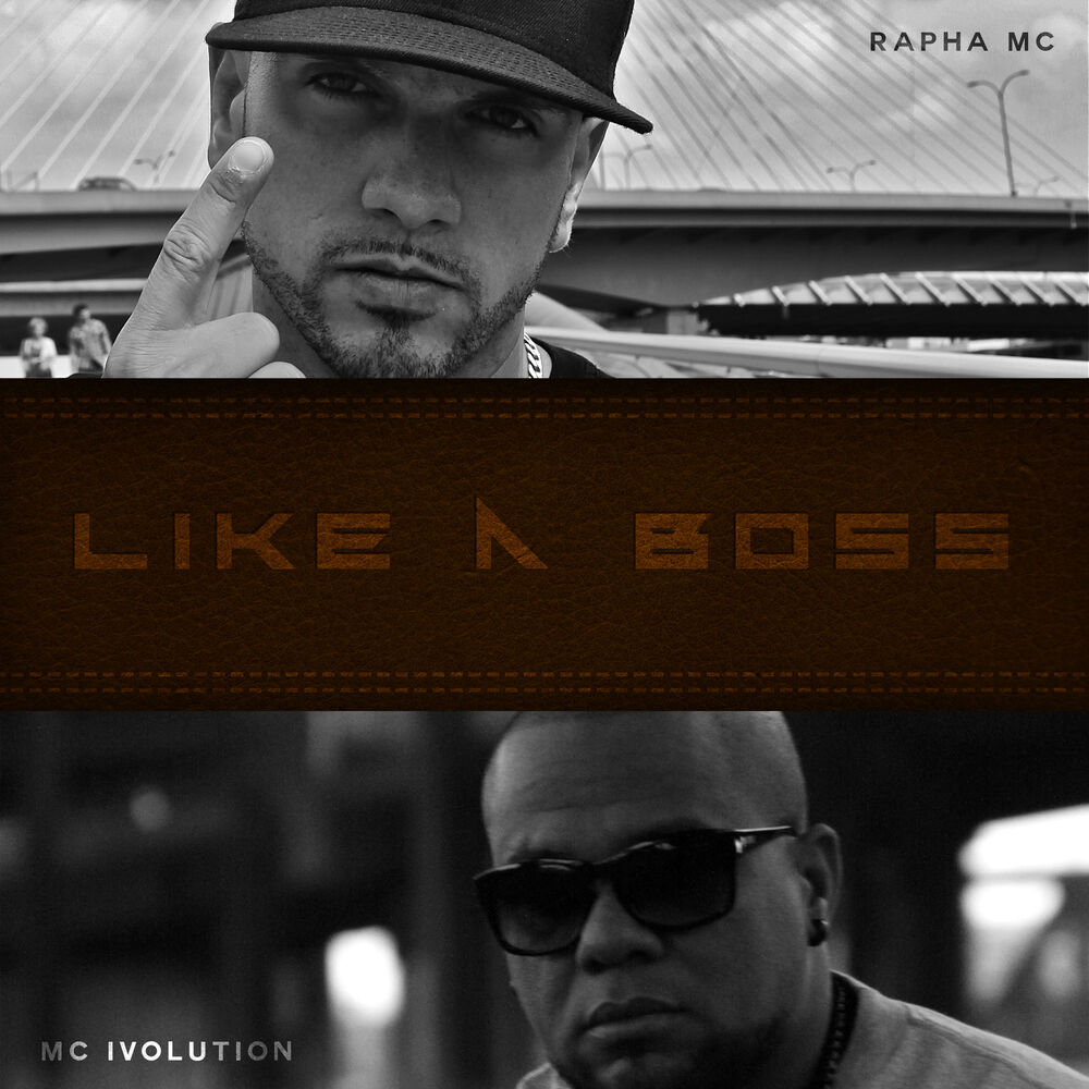 Picture of Like a Boss
