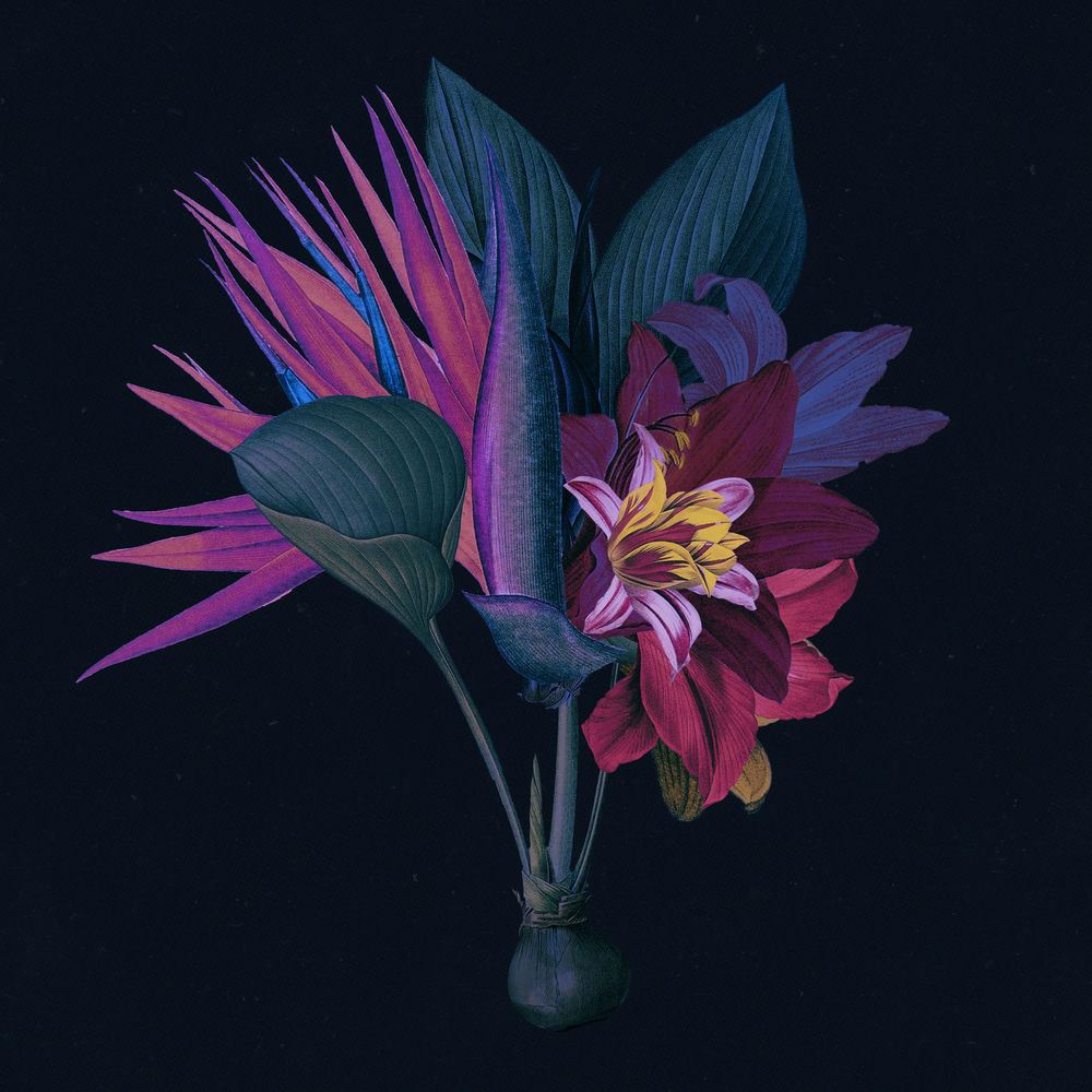 Kingdom (feat. North Downs) (Adesse Versions Remix) album cover