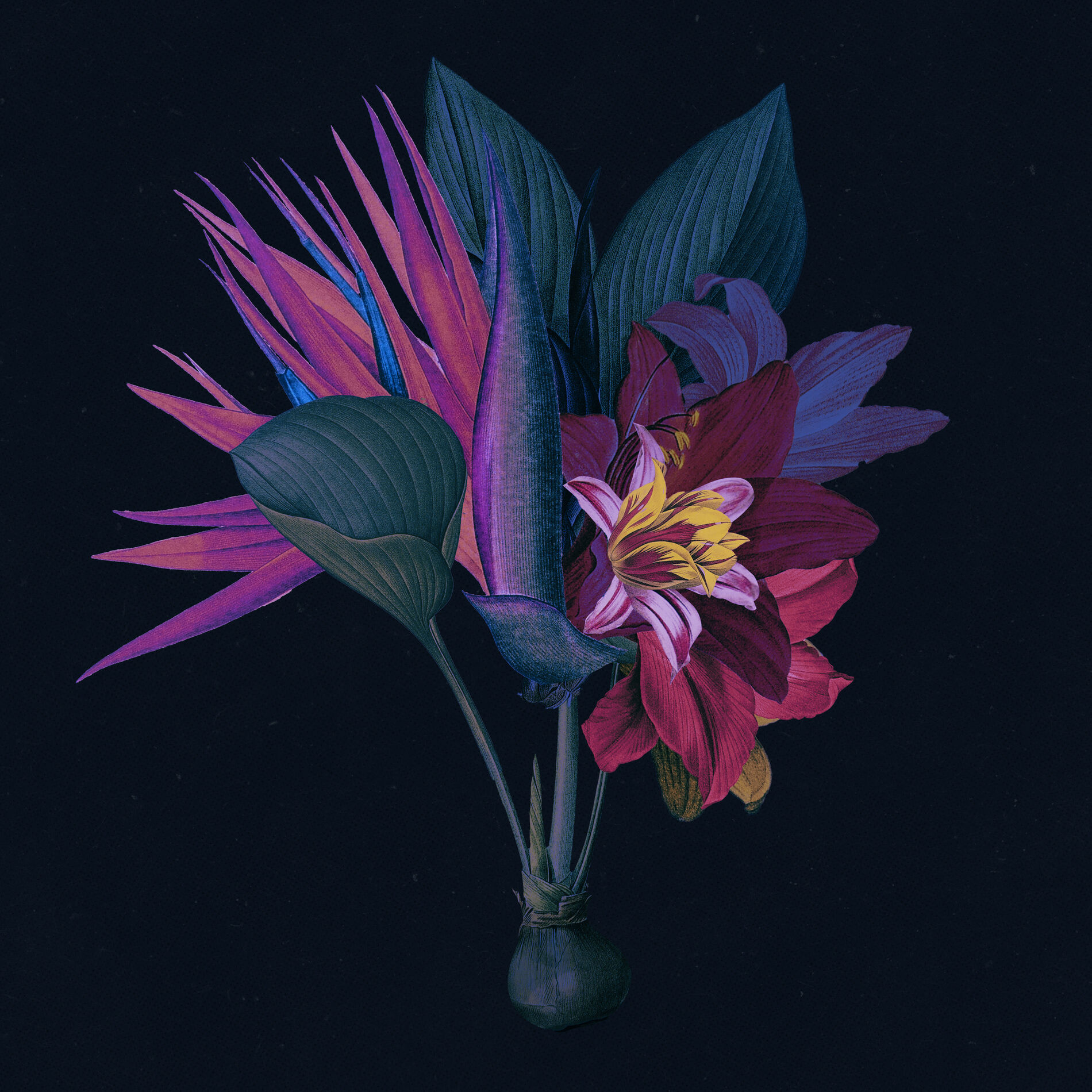 Album cover of Kingdom (feat. North Downs) (Adesse Versions Remix)