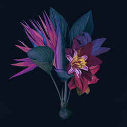 Cover of Kingdom (feat. North Downs) (Adesse Versions Remix)