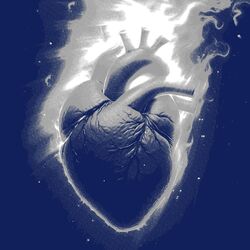 Cover of ALEV