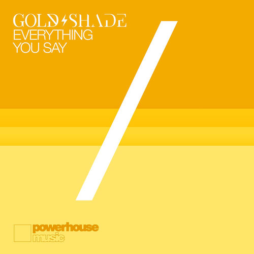 Everything You Say artwork