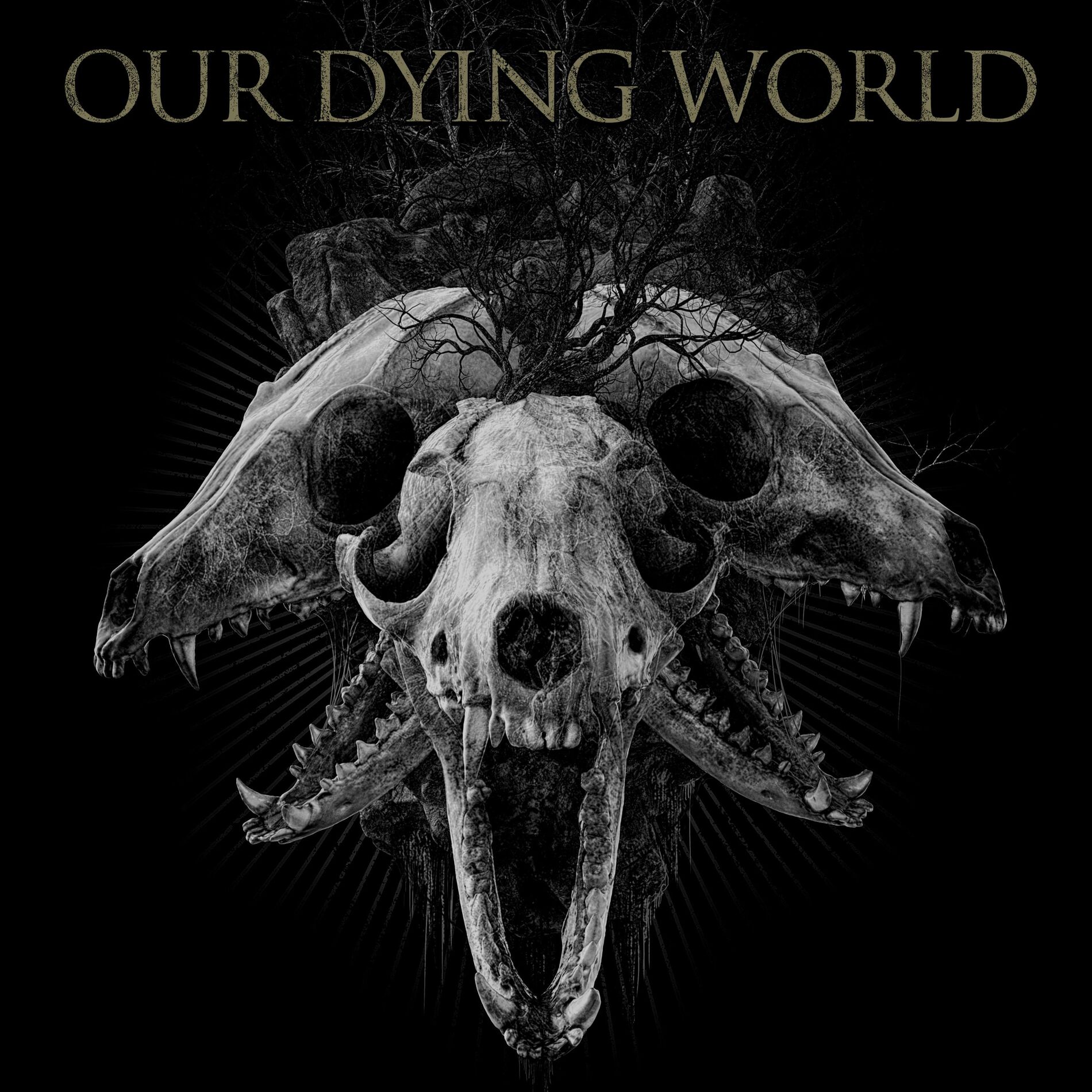 Album cover of Post Mortem