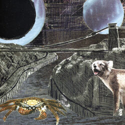 Cover of Green Cosmos