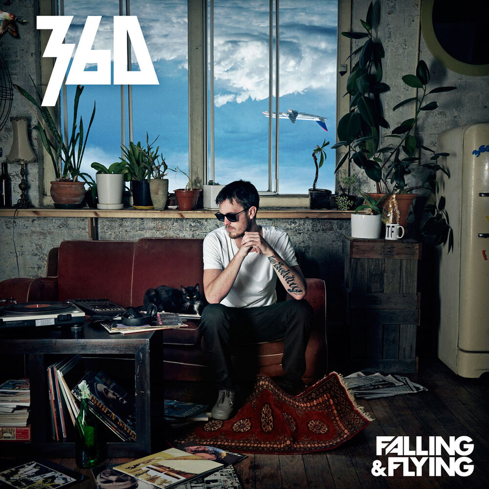 Picture of Falling & Flying