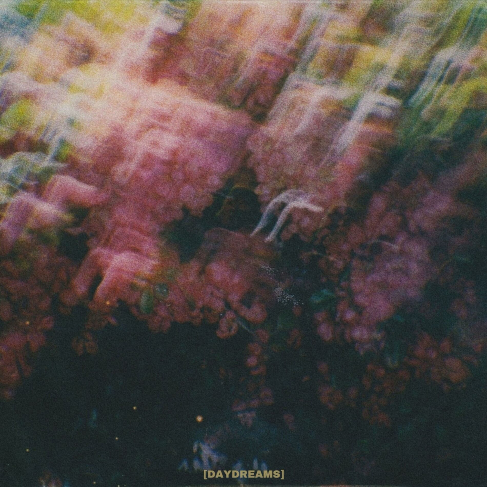 Album cover of DAYDREAMS