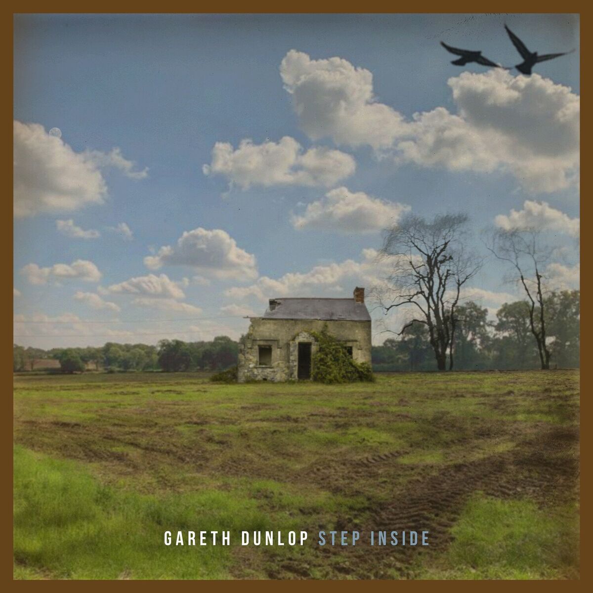Album cover of Step Inside