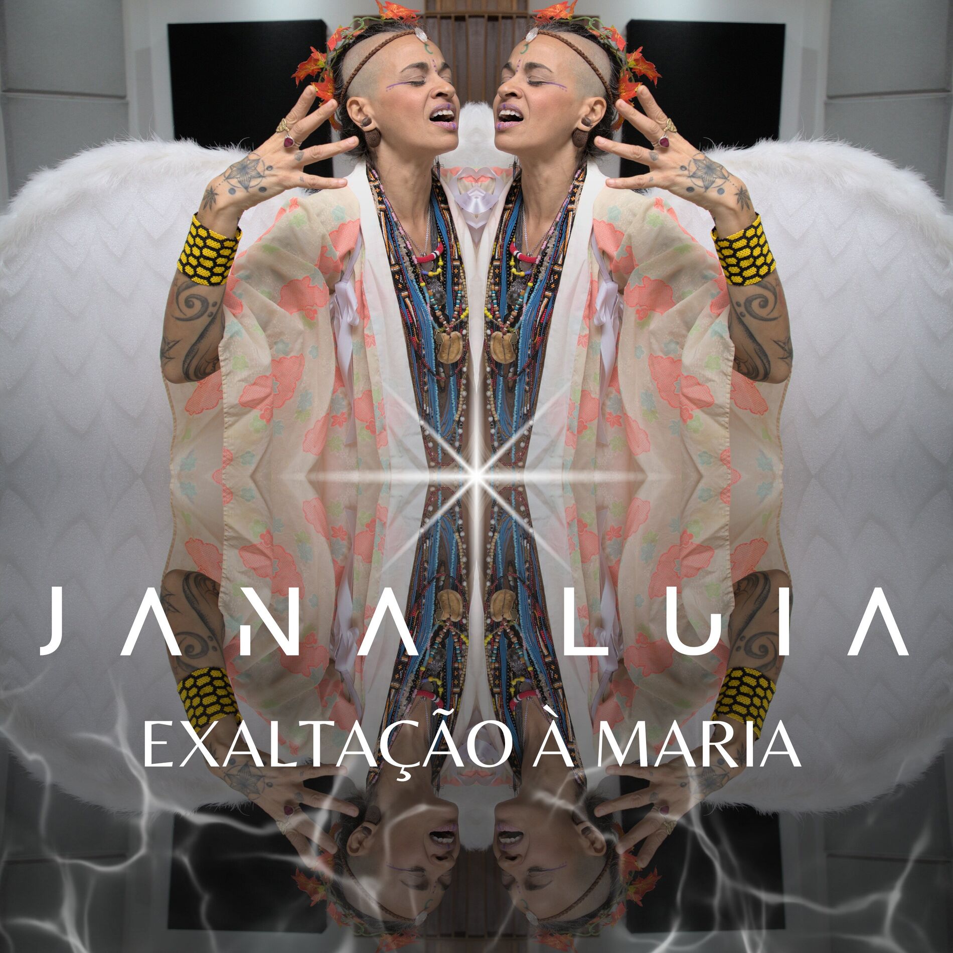 Album cover of Exaltação à Maria