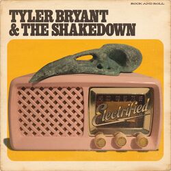 Cover of Snake Oil