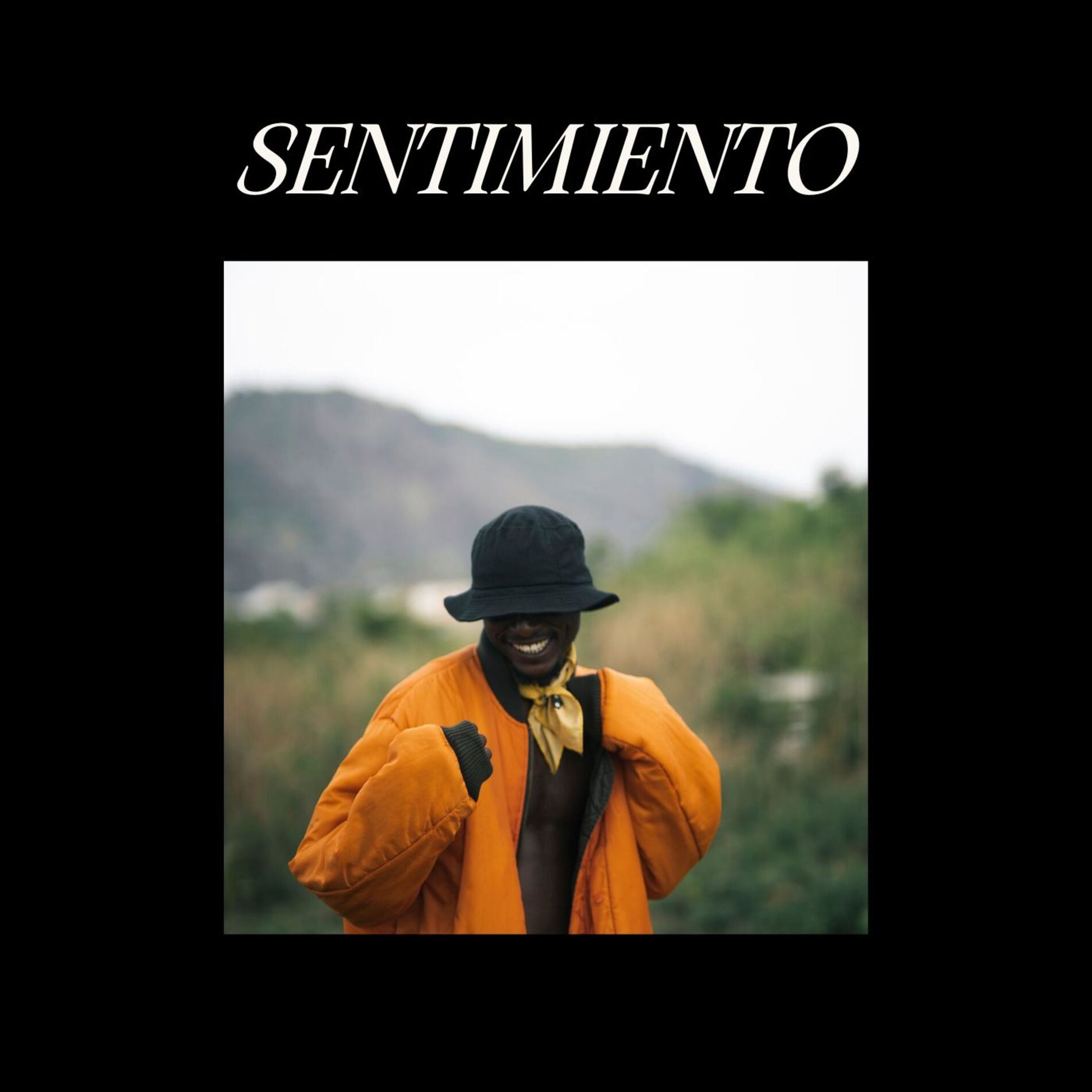 Album cover of sentimiento