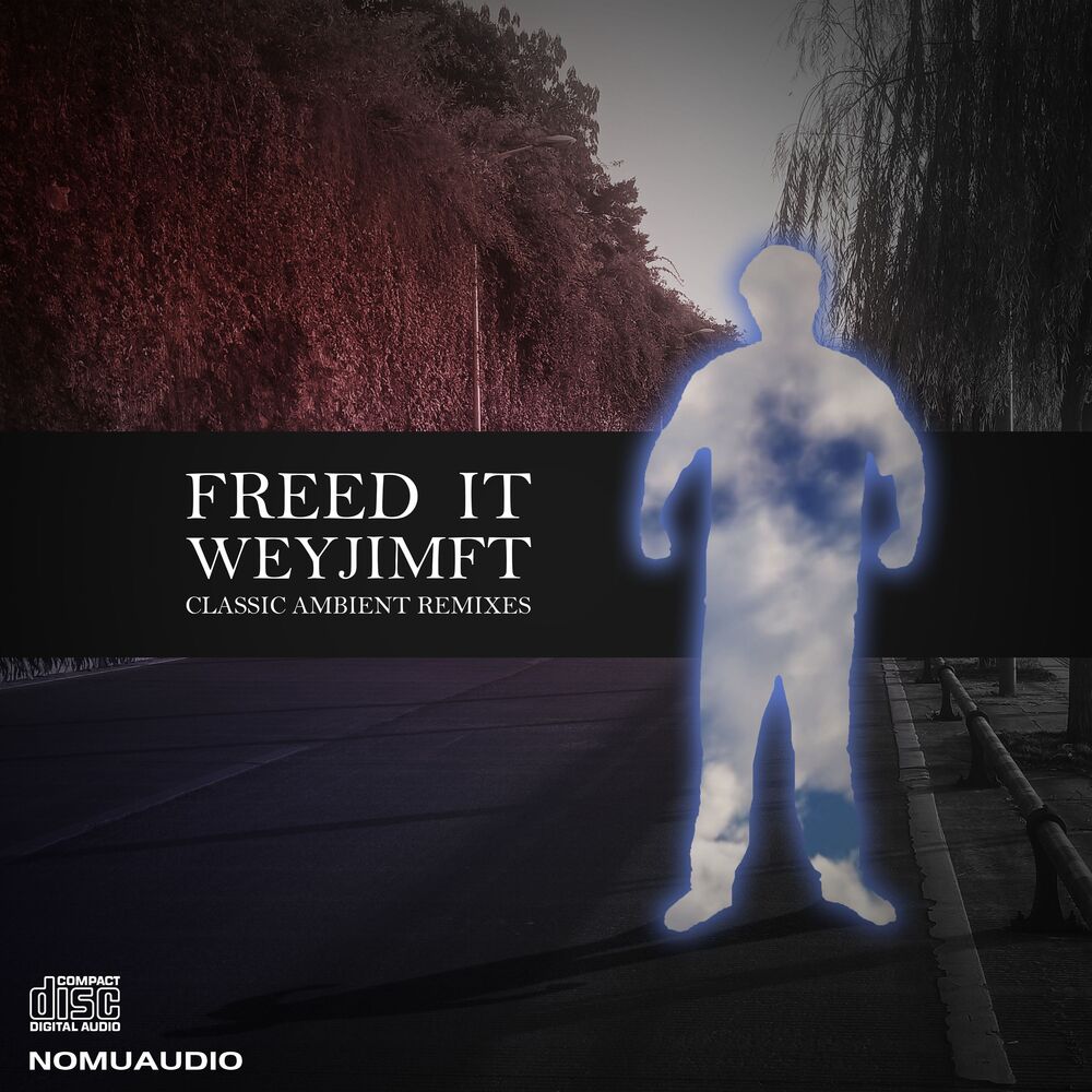 Picture of FREED IT REVAMPED（释放它）