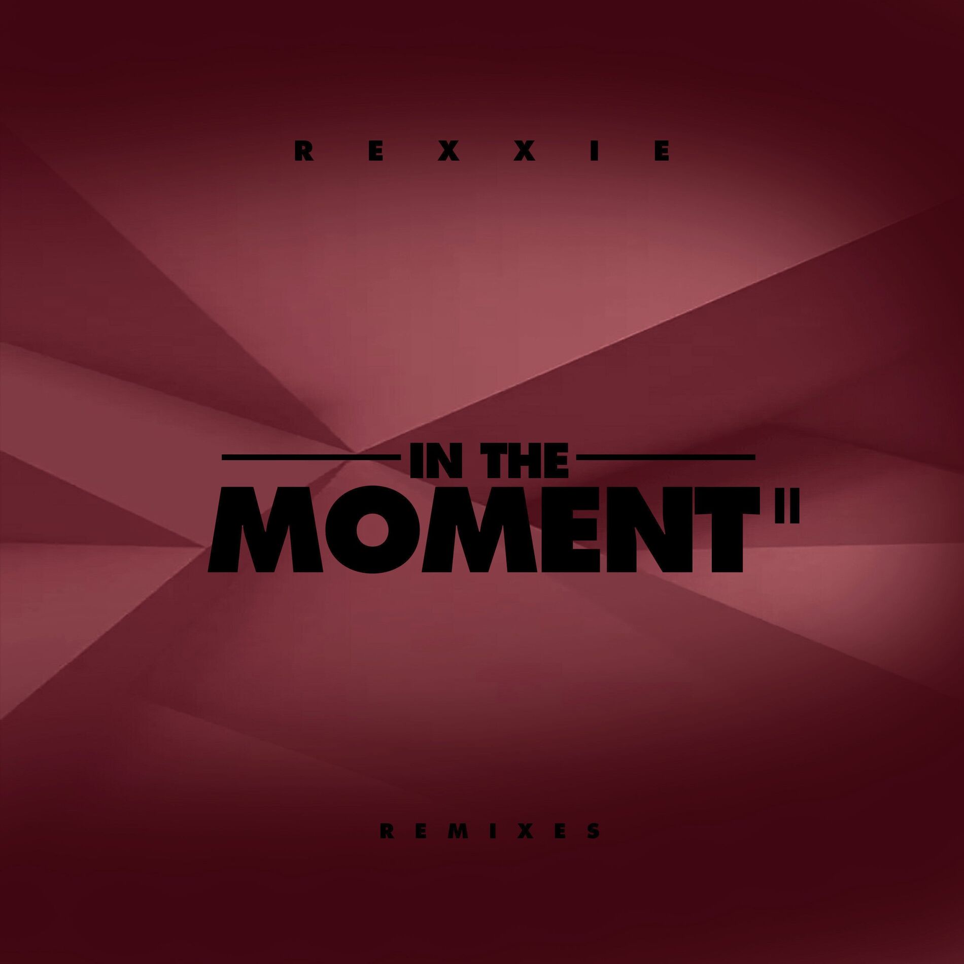 Album cover of In the Moment II (Remixes)