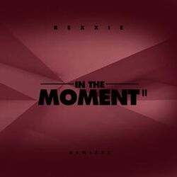 Cover of In the Moment II (Remixes)