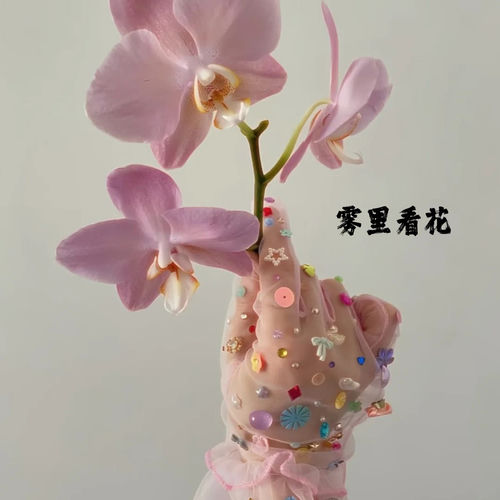 雾里看花